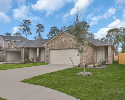 10131 Gold Finch Run, Magnolia