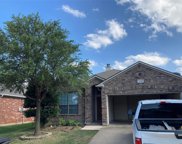 1149 Roping Reins  Way, Fort Worth image