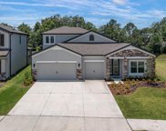 31052 Palm Song Place, Wesley Chapel image