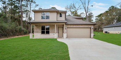 15121 Paradise Court, Willis