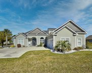 1001 Limpkin Dr., Conway image