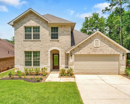 13718 Vail Drive, Montgomery
