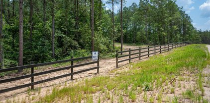 Tract 13 Timberland Branch Drive, Woodville