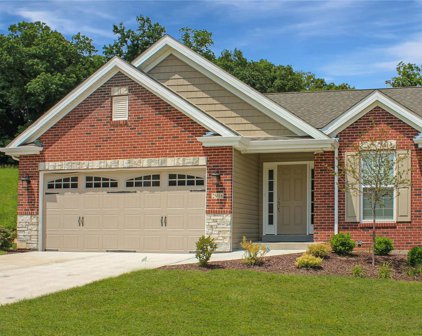 2916 Strawberry Ridge  Drive, Arnold