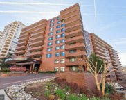 4550 N Park Ave Unit #208, Chevy Chase image