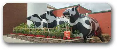 Ashe County Cheese, West Jefferson North Carolina