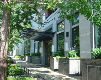 270 E Pearson Street Unit #1302, Chicago