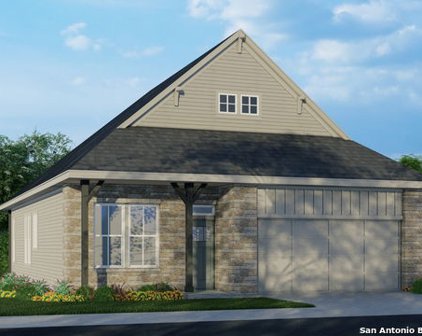 10214 Bartenheim, Schertz