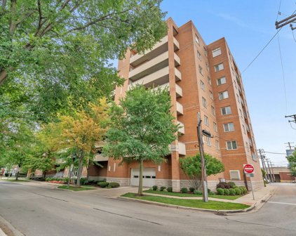 435 William Street Unit #309, River Forest