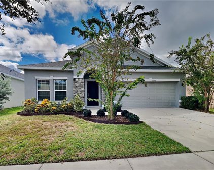 12208 Rambling Stream Drive, Riverview