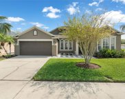 3220 Brenford Place, Land O' Lakes image
