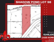 2710 Chinaberry Lane 98, Alvin image