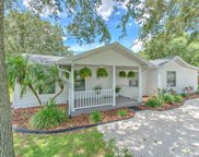 216 Old Mulrennan Road, Valrico image