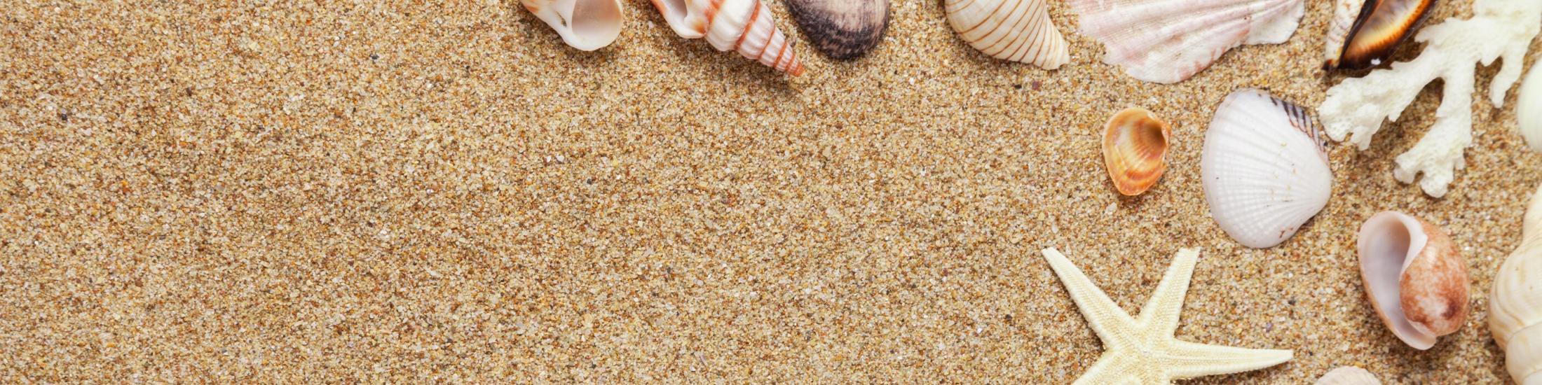 South Seas Island Resort Homes for Sale