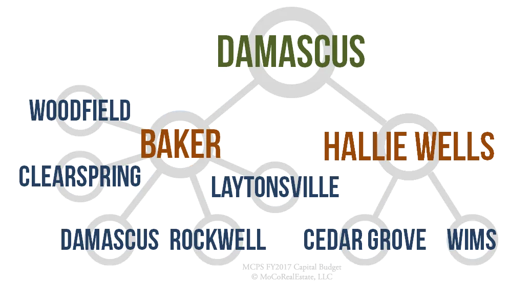 Damascus Cluster Schools