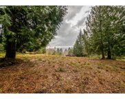 566 MARTINS BLUFF RD, Kalama image