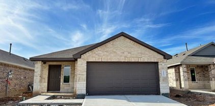 24423 Elmwood Falls Drive, Spring