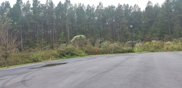 1334 Wood Sorrel Drive, Moncks Corner image