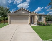 16318 Rosebud Vista, Selma image