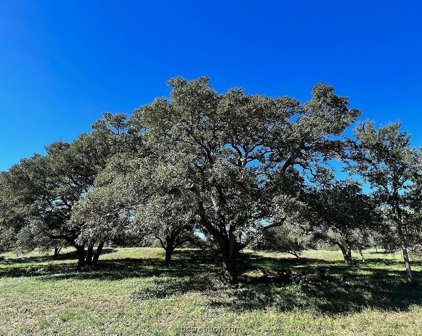 TBD Affleck (11 ac) Road, Brenham