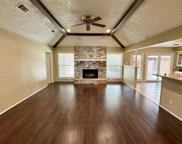 10819 Holly Springs Drive, Houston image