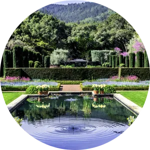 Portola Valley Homes for Sale