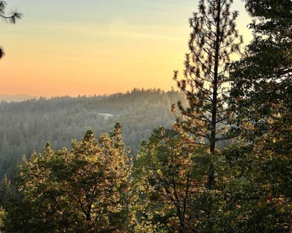 Moonflower Lane, Pollock Pines