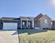 45 Dunraven Drive, Rineyville image