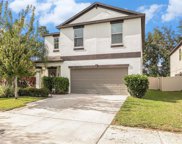 6994 Emerald Spring Loop, New Port Richey image