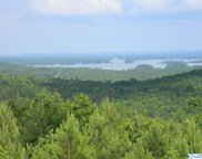 Lot #8 County Road 682, Cedar Bluff image