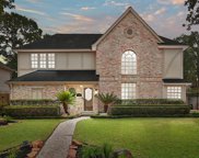 3607 Braewin Court, Houston image