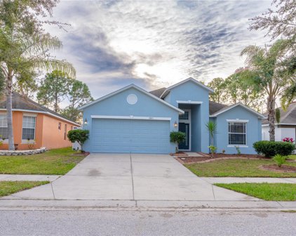 2245 Colville Chase Drive, Ruskin