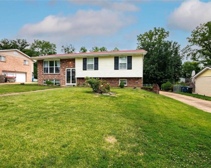 11063 Patrina  Court, St Louis