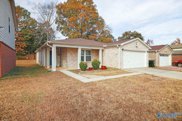 193 Sagebrook Drive, Madison image
