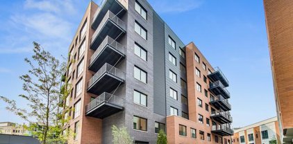1648 W Division Street Unit #101, Chicago