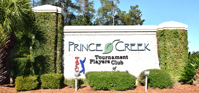 Homes for Sale in Prince Creek