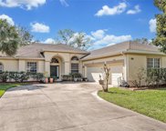 4063 Greystone Drive, Clermont image