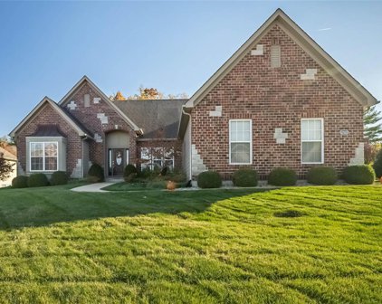 12520 Grandview Forest  Drive, St Louis