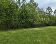 Tyree Springs Road, White House image