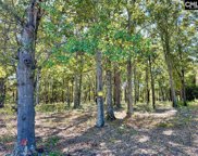 174 Langford Road, Blythewood image