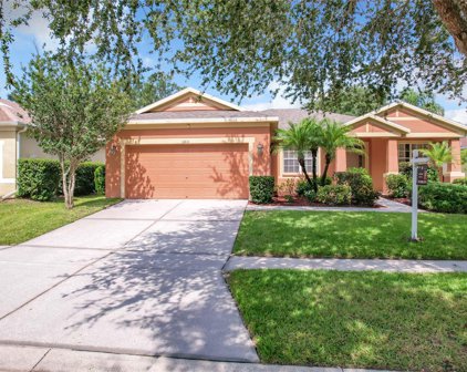11810 Holly Crest Lane, Riverview