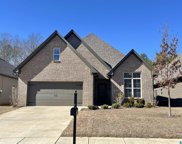 300 Sterling Place, Odenville image