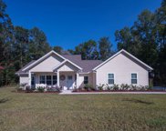 243 SW WOODLEAF COURT, Lake City image