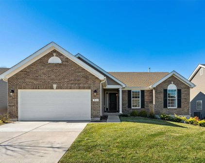 915 Birch View  Court, Lake St Louis