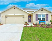 3911 Willow Branch Place, Palmetto image