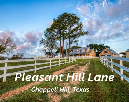 3100 Pleasant Hill Lane, Chappell Hill