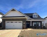 138 Brier Valley Drive, Meridianville image