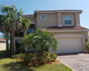 11253 Sparkleberry Drive, Fort Myers image