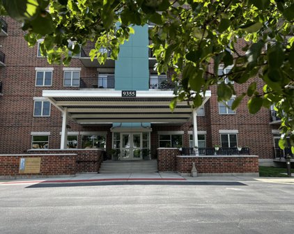 9355 Irving Park Road Unit #518, Schiller Park