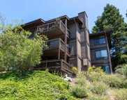 3362 Brittan AVE 13, San Carlos image